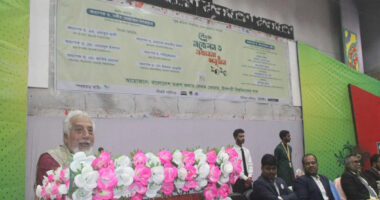 পাঠকের মৃত্যু ঘটে কিন্তু লেখকের নয়- ইবি উপাচার্য