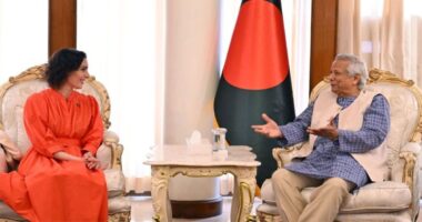 সম্ভবত ডিসেম্বরের মধ্যে জাতীয় নির্বাচন, ইইউ প্রতিনিধি দলকে প্রধান উপদেষ্টা