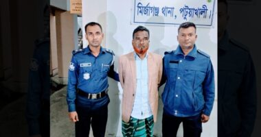 সাবেক স্বরাষ্ট্রমন্ত্রীর গাড়িবহরে হামলায় প্রধান শিক্ষক আটক