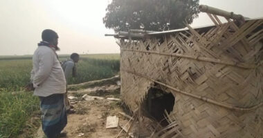 নাটোরের নলডাঙ্গা চুরি-ছিনতায়ের অভয়াশ্রমে পরিনত হয়েছে