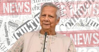 একের পর এক মিথ্যা তথ্যে জনগণকে বিভ্রান্তের চেষ্টা চলছে: প্রধান উপদেষ্টা