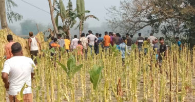 সীমান্তে মাছ ধরা নিয়ে বাংলাদেশ-ভারতের মধ্যে ব্যাপক উত্তেজনা