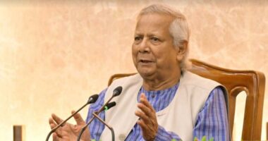 ডিসেম্বরে নির্বাচন, এর মধ্যে প্রয়োজনীয় সংস্কার করে ফেলতে হবে : প্রধান উপদেষ্টা