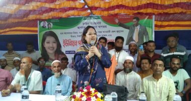 দীর্ঘদিন ক্ষমতা আঁকড়ে রাখলে জনগণ মেনে নেবে না : রুমিন ফারহানা