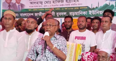 ভোলার বোরহানউদ্দিনে যুবদলের উদ্যোগে ইফতার মাহফিল