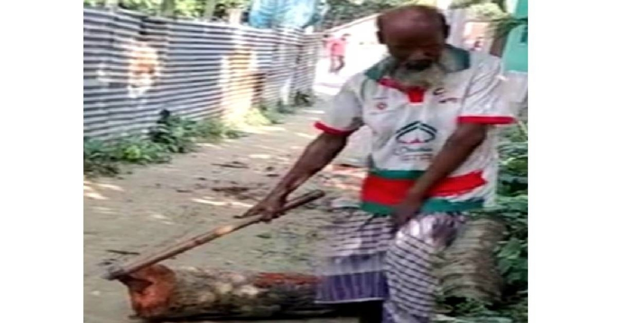 জীবন যুদ্ধে হার মানেনি কালু