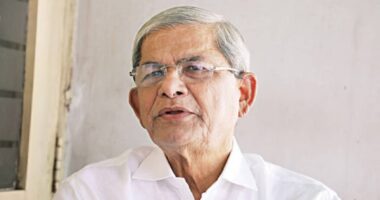 সিঙ্গাপুর গেলেন মির্জা ফখরুল