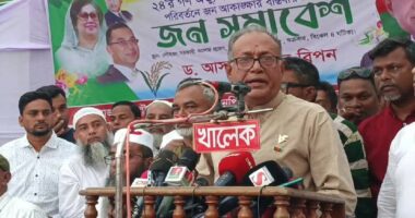 কিছু কিছু উপদেষ্টার পাঁচ বছর ক্ষমতায় থাকার খায়েশ জন্মেছে : ড. আসাদুজ্জামান