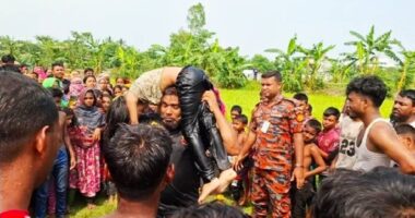 নরসিংদীতে পুকুরে ডুবে শিশুর মৃত্যু