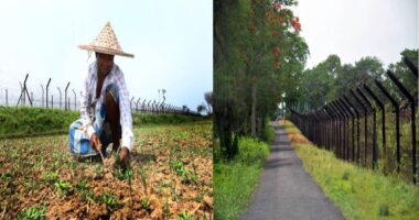 সীমান্তে রক্তঝরা এক দশক: বিএসএফের গুলিতে ৩০৫ বাংলাদেশি নিহত, মানবাধিকার সংস্থার প্রতিবেদনে উদ্বেগ