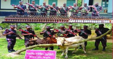 ঝিনাইগাতীতে ভারতীয় বিভিন্ন ব্র্যান্ডের ৪৯৭ পিস মদসহ দুটি গরু জব্দ