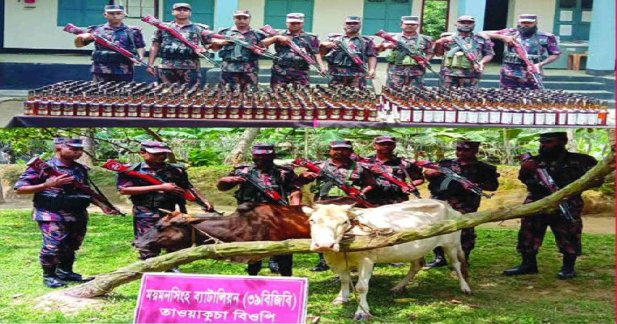 ঝিনাইগাতীতে ভারতীয় বিভিন্ন ব্র্যান্ডের ৪৯৭ পিস মদসহ দুটি গরু জব্দ