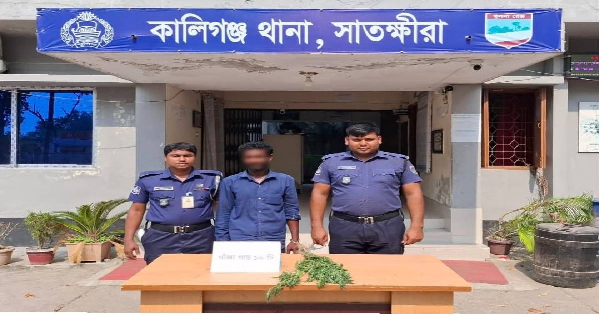 মাদকবিরোধী বিশেষ অভিযানে ১০ টি গাঁজা গাছ সহ ০১ জন গ্রেফতার