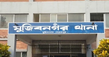 মেহেরপুরে সড়কের পাশে অজ্ঞাত নারীর মরদেহ উদ্ধার