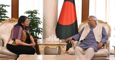 বাংলাদেশের অন্তর্বর্তী সরকারের প্রতি পূর্ণ সমর্থন জানিয়েছে ফিলিপাইন সরকার
