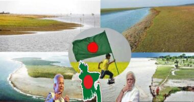 ভারতের ছেড়ে দেওয়া পানি হয়ে উঠছে আশীর্বাদ, নতুন নতুন চর বাংলাদেশের সম্পদে পরিণত হচ্ছে !