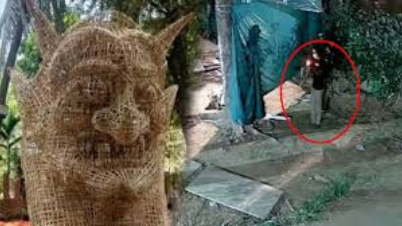 ফ্যাসিবাদের মুখাকৃতিতে আগুন দেয়া ব্যক্তি ঢাবি শিক্ষার্থী, সে ছাত্রলীগ করতো
