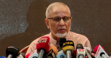 ২০২৬ সালেই এলডিসি থেকে বের হবে বাংলাদেশ,পেছাবে না সরকার : আনিসুজ্জামান