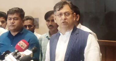 ঢালাওভাবে নয়, আগামী সংসদ চাইলে গণভোট হতে পারে : সালাহউদ্দিন আহমদ