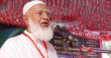 ইইউ সফরে গণতন্ত্রকে টেকসই করার বিষয়ে আলোচনা হয়েছে : জামায়াত আমির