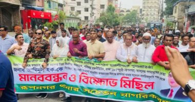 আমিনুল হকের জনপ্রিয়তায় ঈর্ষান্বিত হয়ে এনসিপি অপপ্রচার করছে : বিএনপি