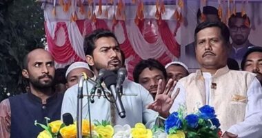 রাষ্ট্রপতির নিয়োগ, মিলাদ মাহফিল আর কবর জিয়ারত ছাড়া কিছু কাজ করতে পারে না : নুর