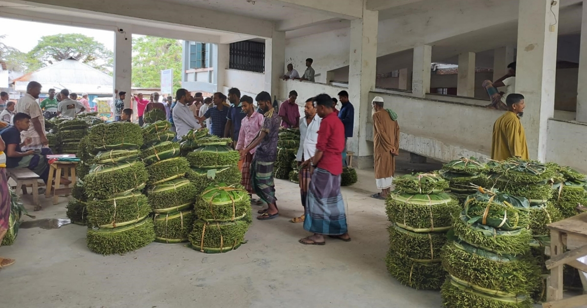 বিদ্যালয়ে পানের হাট ময়লা আবর্জনা পচে দুর্গন্ধ,স্বাস্থ্যঝুঁকিতে শিক্ষার্থীরা