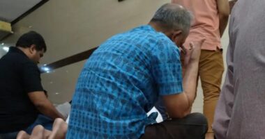 এমন শাসক আর শাসনই আমাদের স্বপ্নময় ছিল ! : প্রেস সচিব