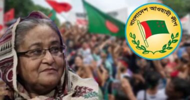 পুরোনো চেহারায় নতুন রূপে ফিরবে আ.লীগ, তৈরি হচ্ছে মাস্টারপ্ল্যান