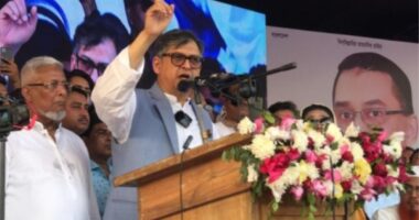 নির্বাচনকালীন তিন মাসের জন্য তত্ত্বাবধায়ক সরকার চায় বিএনপি : সালাহউদ্দিন