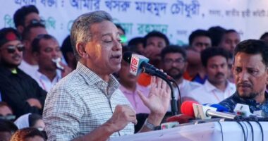 ডিসেম্বরের পরে  নির্বাচন যাওয়ার তো প্রশ্নই আসে না : আমীর খসরু