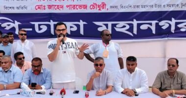 সংস্কার সংস্কারের মতো চলবে, নির্বাচন ডিসেম্বরেই চাই : আমিনুল হক 