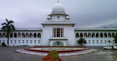 হাইকোর্টে জামিন পেলেন সেই আওয়ামীপন্থি ৬১ আইনজীবী