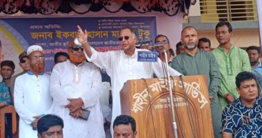 শয়তানের সঙ্গে কম্প্রোমাইজ হলেও, আ.লীগের সঙ্গে নয় : টুকু