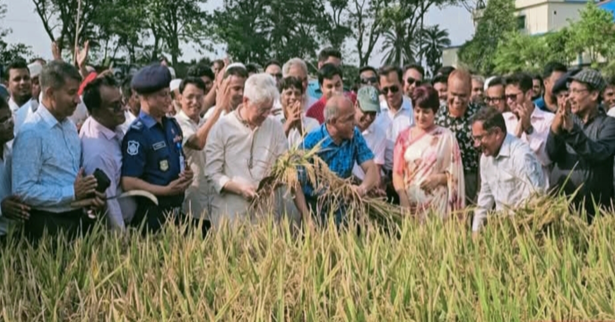 আড়িয়াল বিলের ধান কাটার উদ্ধোধন করলেন স্বরাষ্ট্র ও শিল্প উপদেষ্টা জাহাঙ্গীর আলম চৌধুরী