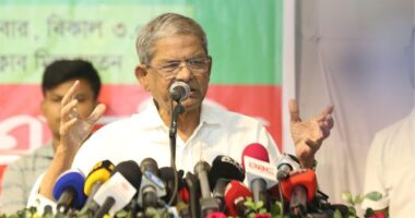 গণতন্ত্র মানেই শত ফুল ফুটতে দিতে হবে,চলমান পরিস্থিতি উত্তরণের একমাত্র পথ হচ্ছে দ্রুত নির্বাচন : ফখরুল