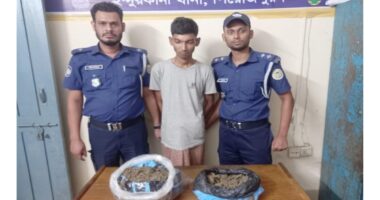 ইন্দুরকানীতে আড়াই কেজি গাঁজাসহ মাদক ব্যবসায়ী গ্রেফতার