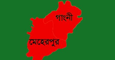 গাংনীর পল্লীতে সংঘর্ষে উভয় পক্ষের আহত —৫