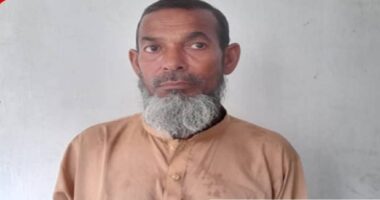 জাম পেড়ে দেওয়ার প্রলোভন দেখিয়ে শিশু ধর্ষণ, ধর্ষক গ্রেপ্তার