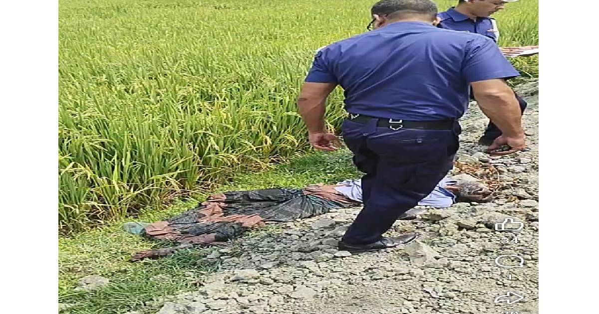 ধানক্ষেতের উপর পড়ে থাকা অবস্থায় জাহিদুল ইসলাম (৫৭) নামের এক কৃষকের মরদেহ উদ্ধার