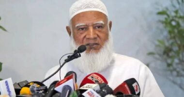জুনেই নির্বাচনের রোডম্যাপ দেওয়ার আহ্বান জামায়াত আমিরের