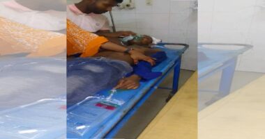 রাজবাড়ীতে ভিডিও করার অভিযোগে দিনমজুর কে পিটিয়ে হত্যা , আটক ৪