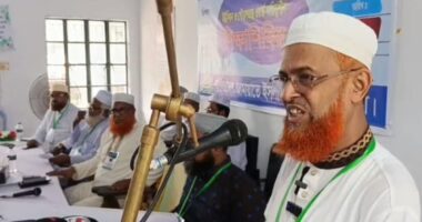 জামায়াত ধর্ম বর্ণ নির্বিশেষে একটি কল্যাণ রাষ্ট্র প্রতিষ্ঠা করতে চায় - আব্দুল হালিম