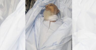 মির্জাগঞ্জে দা দিয়ে নিজ গলা কেটে বৃদ্ধার আত্মহত্যা