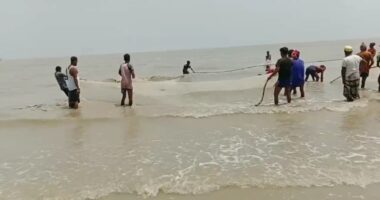 মাছ ধরার নিষেধাজ্ঞা থাকলেও সরকারি বরাদ্দের অভাবে পটুয়াখালীর বঙ্গোপসাগরে অভিযান ব্যাহত