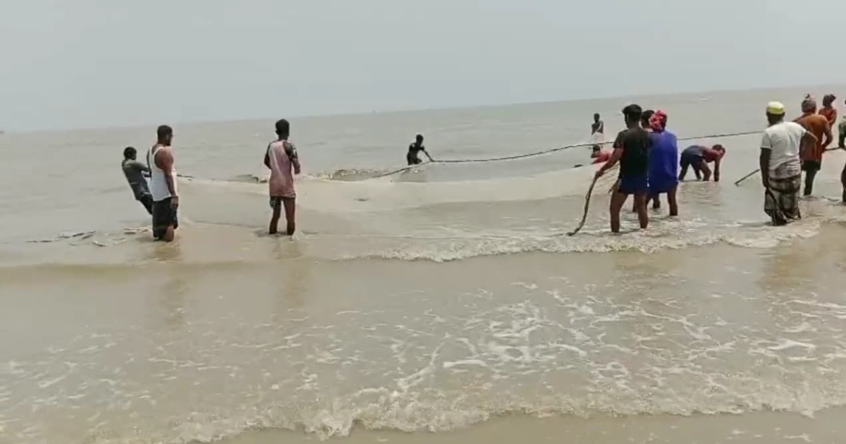 মাছ ধরার নিষেধাজ্ঞা থাকলেও সরকারি বরাদ্দের অভাবে পটুয়াখালীর বঙ্গোপসাগরে অভিযান ব্যাহত