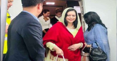 দীর্ঘ ১৭ বছর পর দেশে ফিরে সন্ধ্যায় অসুস্থ মাকে দেখতে হাসপাতালে যাবেন ডা. জোবাইদা রহমান