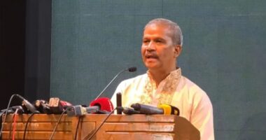 নতুন সংবিধান প্রণয়নে ২-৩ বছর সময় লাগতে পারে : আসিফ নজরুল