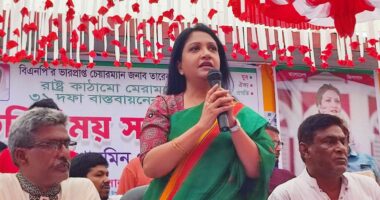 আ.লীগকে নিষিদ্ধ করতে সবার আগে আওয়াজটা বিএনপিই তুলেছিল : পুতুল