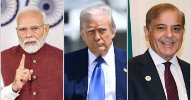 পাকিস্তানের সাথে যুদ্ধবিরতির ব্যাপারে ট্রাম্পের দাবি প্রত্যাখ্যান করল ভারত